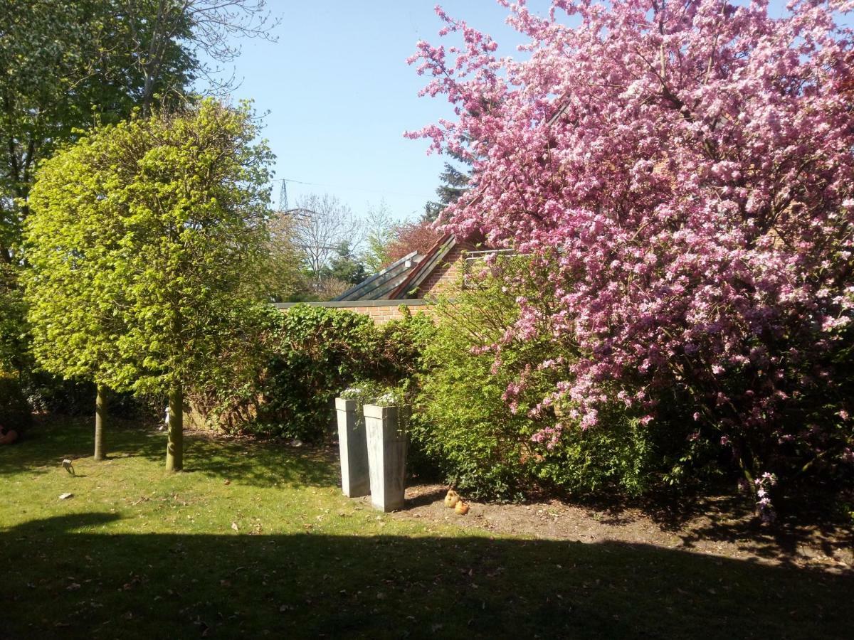 Apartment Am Vechtesee Schuttorf Εξωτερικό φωτογραφία